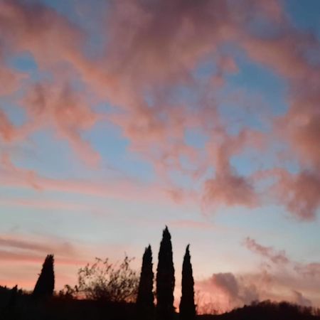 Villa Al Piccolo Ulivo, a casa di Mimo&Sè Castiglione dʼOrcia Esterno foto
