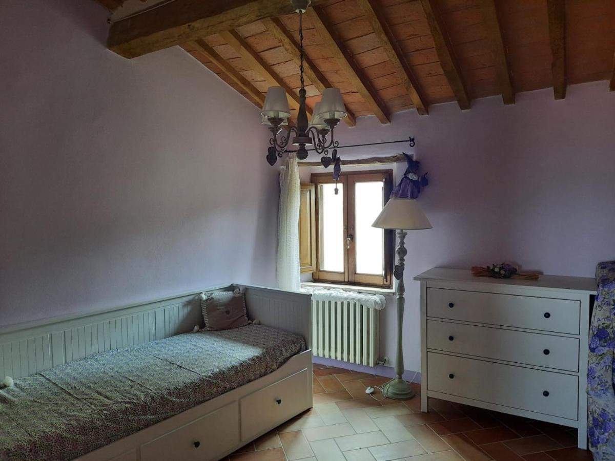 Villa Al Piccolo Ulivo, a casa di Mimo&Sè Castiglione dʼOrcia Esterno foto