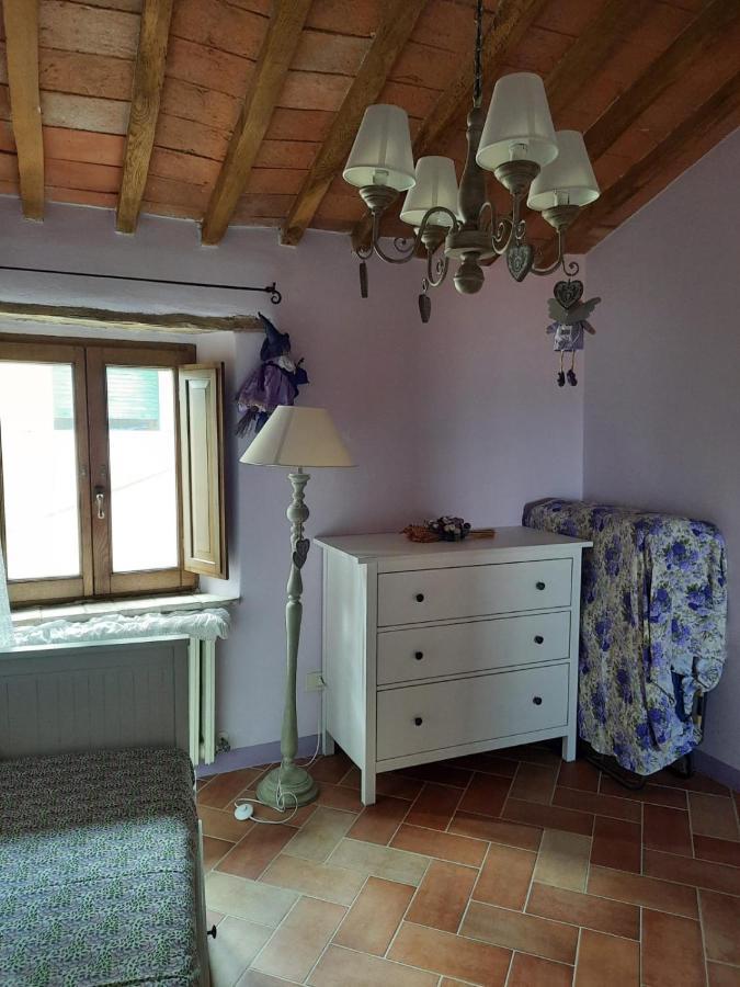 Villa Al Piccolo Ulivo, a casa di Mimo&Sè Castiglione dʼOrcia Esterno foto