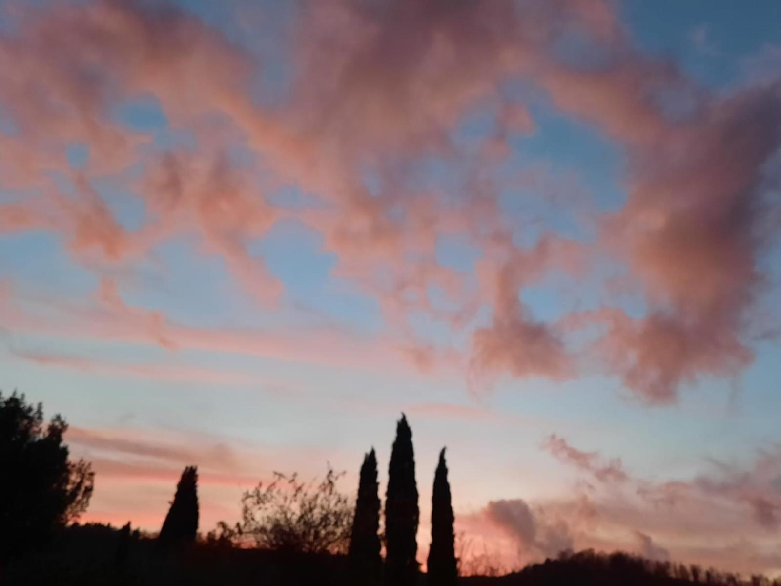 Villa Al Piccolo Ulivo, a casa di Mimo&Sè Castiglione dʼOrcia Esterno foto