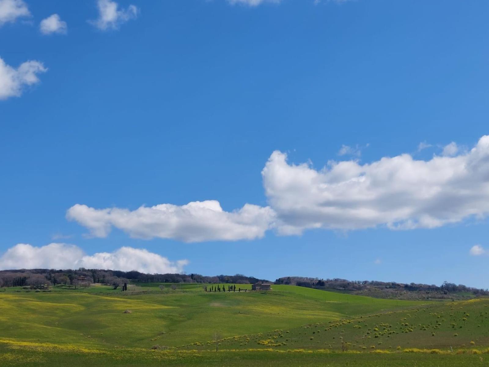 Villa Al Piccolo Ulivo, a casa di Mimo&Sè Castiglione dʼOrcia Esterno foto
