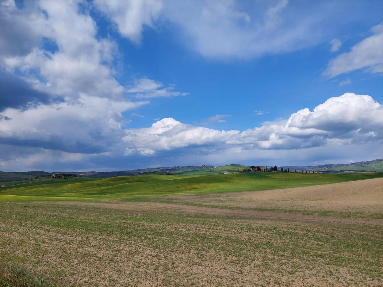 Villa Al Piccolo Ulivo, a casa di Mimo&Sè Castiglione dʼOrcia Esterno foto