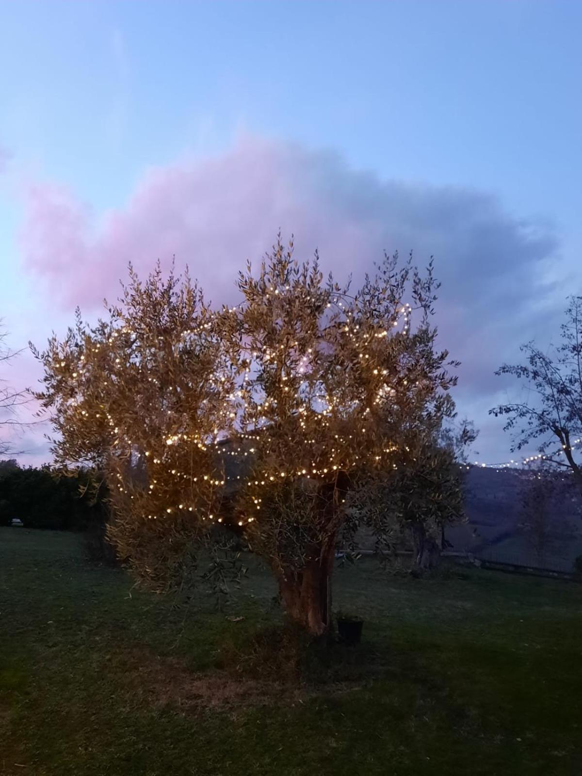 Villa Al Piccolo Ulivo, a casa di Mimo&Sè Castiglione dʼOrcia Esterno foto