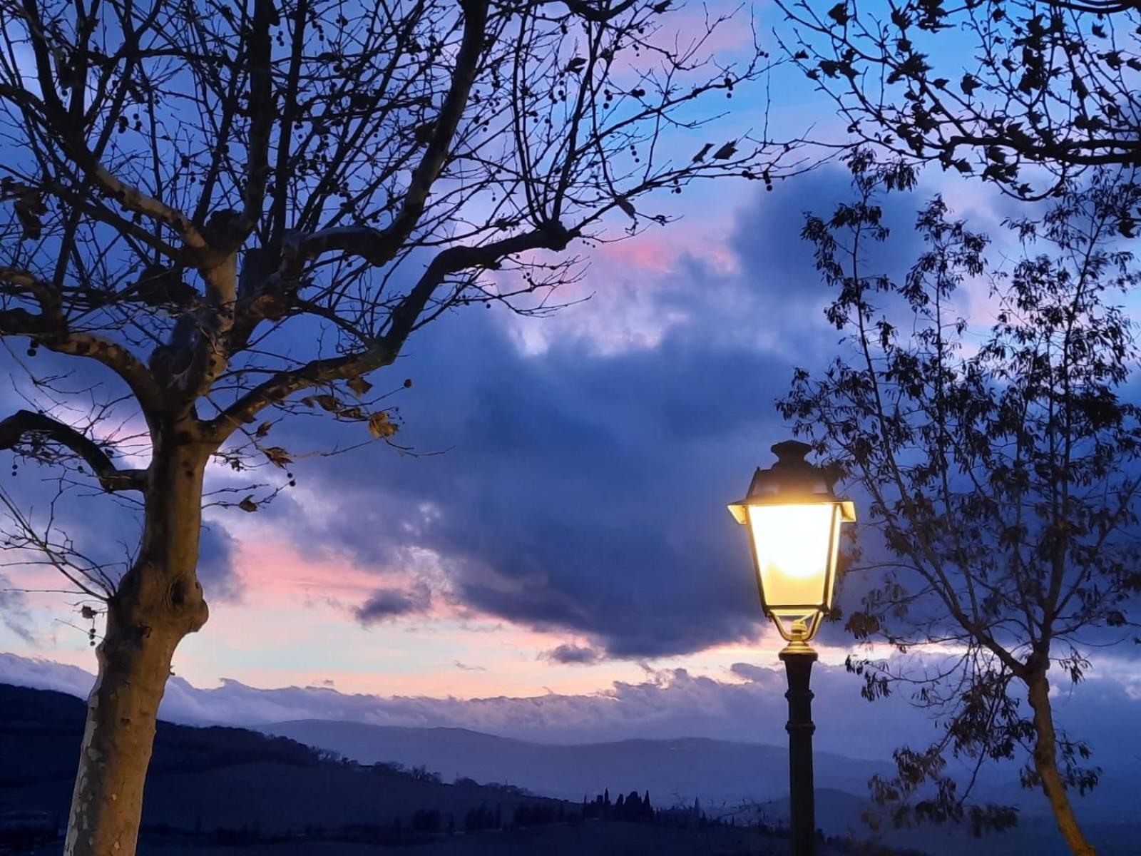 Villa Al Piccolo Ulivo, a casa di Mimo&Sè Castiglione dʼOrcia Esterno foto