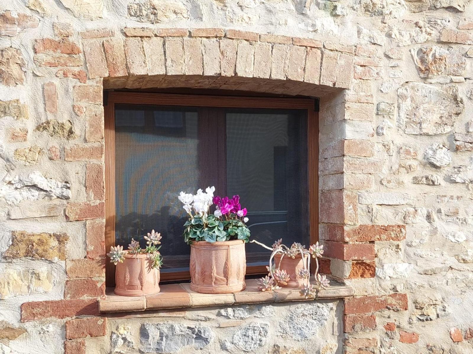 Villa Al Piccolo Ulivo, a casa di Mimo&Sè Castiglione dʼOrcia Esterno foto