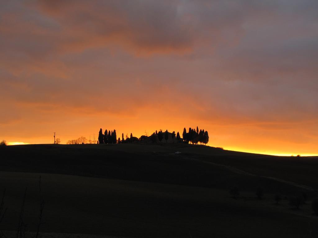 Villa Al Piccolo Ulivo, a casa di Mimo&Sè Castiglione dʼOrcia Esterno foto