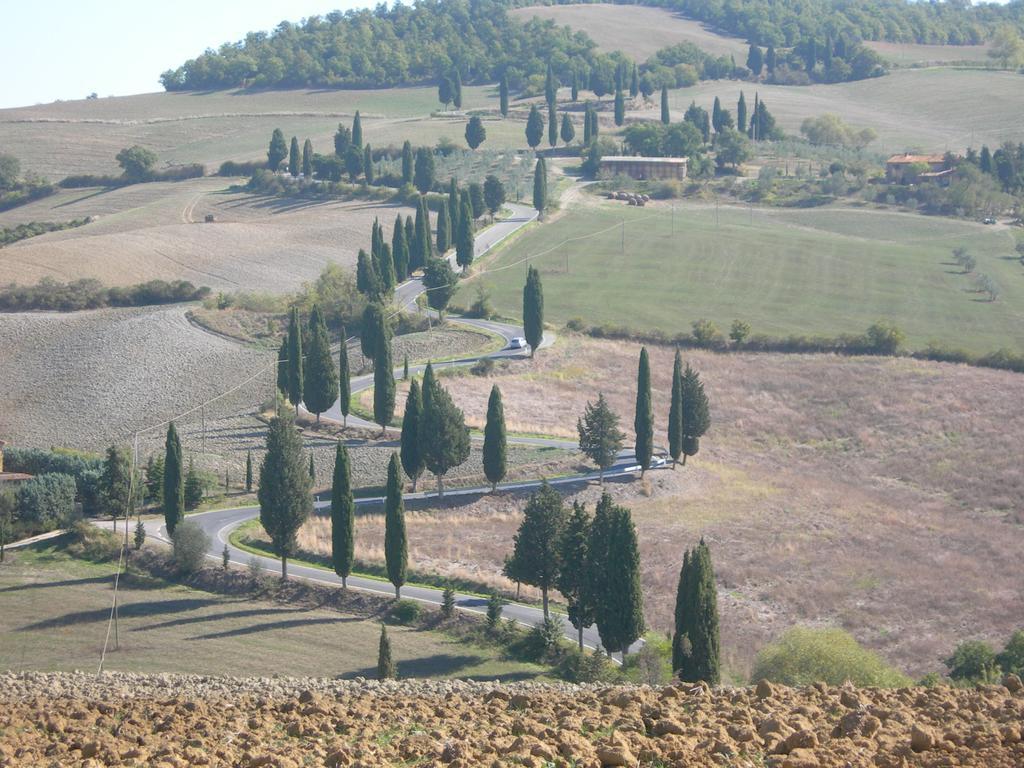 Villa Al Piccolo Ulivo, a casa di Mimo&Sè Castiglione dʼOrcia Esterno foto