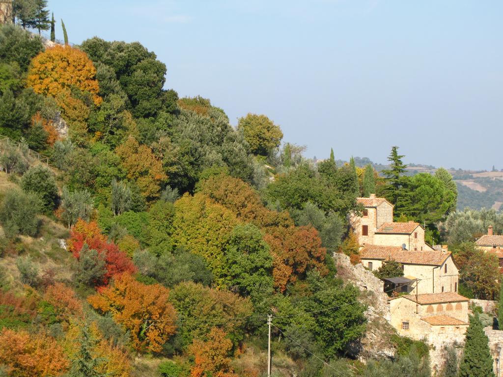 Villa Al Piccolo Ulivo, a casa di Mimo&Sè Castiglione dʼOrcia Esterno foto