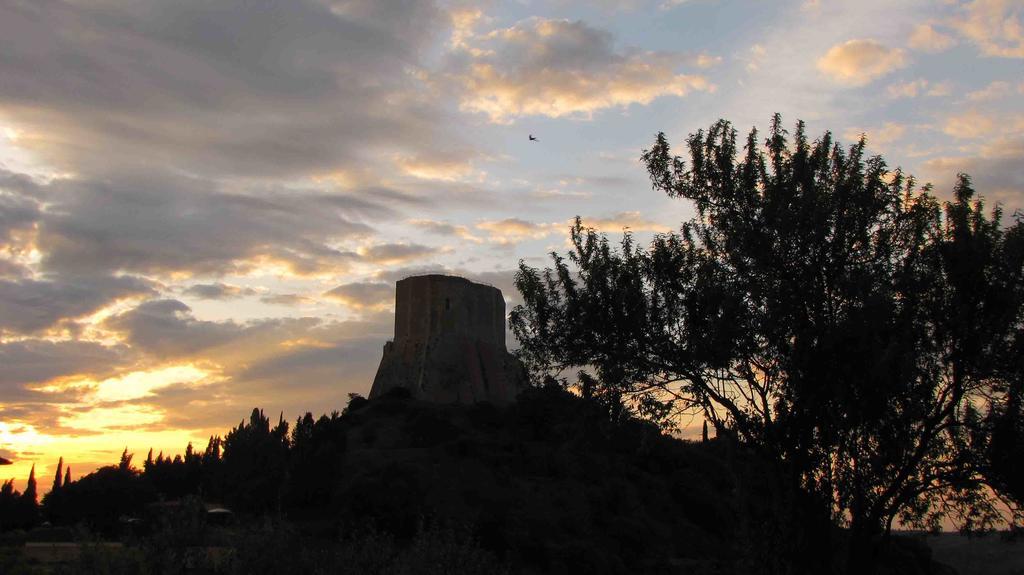 Villa Al Piccolo Ulivo, a casa di Mimo&Sè Castiglione dʼOrcia Esterno foto