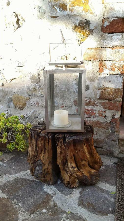 Villa Al Piccolo Ulivo, a casa di Mimo&Sè Castiglione dʼOrcia Esterno foto